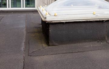 disadvantages of Park Mill flat roofs